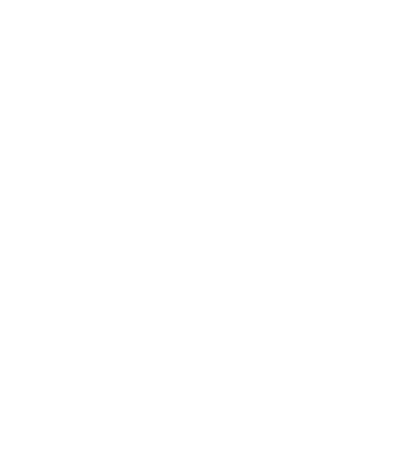 RUXAILAB illustration